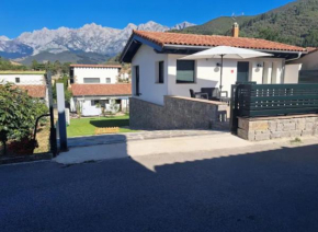 Mirando a los Picos de Europa